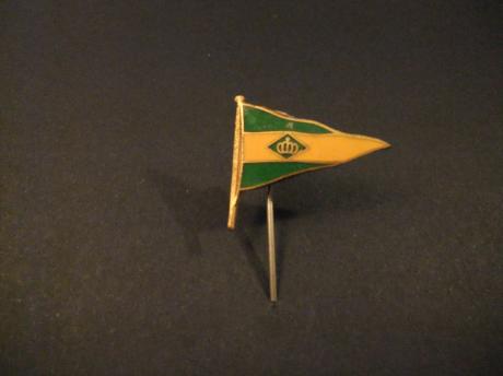 Loosdrechtse watersport vereniging, groen geel, vlag